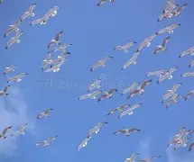 直布罗陀原来属哪个国家