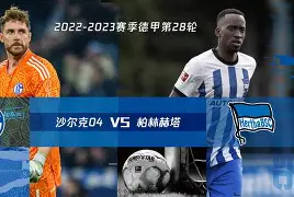 沙尔克球星